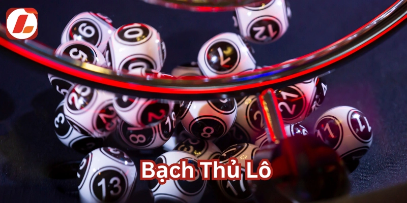 Bạch Thủ Lô là gì ? 