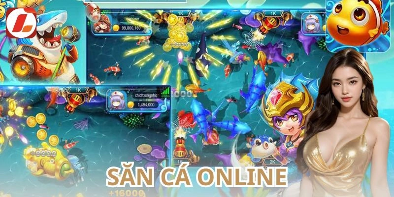 Những lưu ý khi tham gia săn cá online