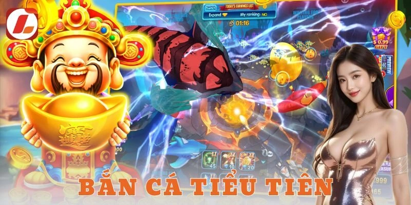 Những câu hỏi thường gặp về bắn cá tiểu tiên